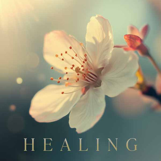 Various Artists - Healing - Rock/Pop - CD