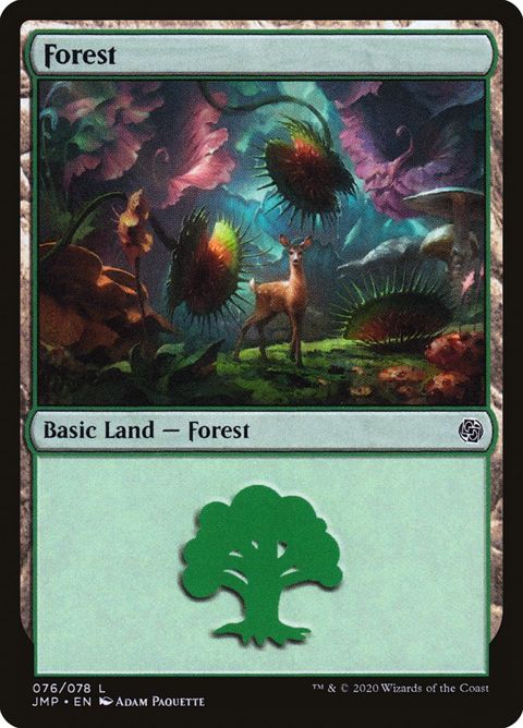 76-forest
