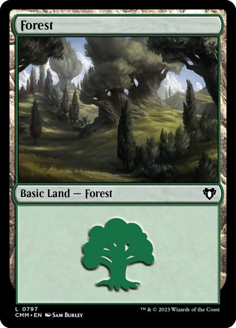797-forest