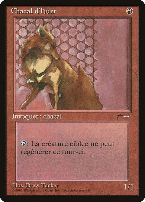 88-hurrjackal
