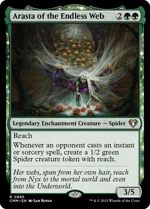 885-arastaoftheendlessweb