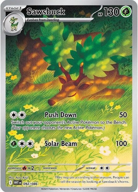 92-sawsbuck