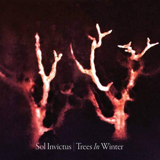 Sol Invictus - Trees In Winter - Electronic - CDD