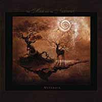 Moon And The Nightspirit, The - Metanoia - Folk/Pagan Metal - CDD