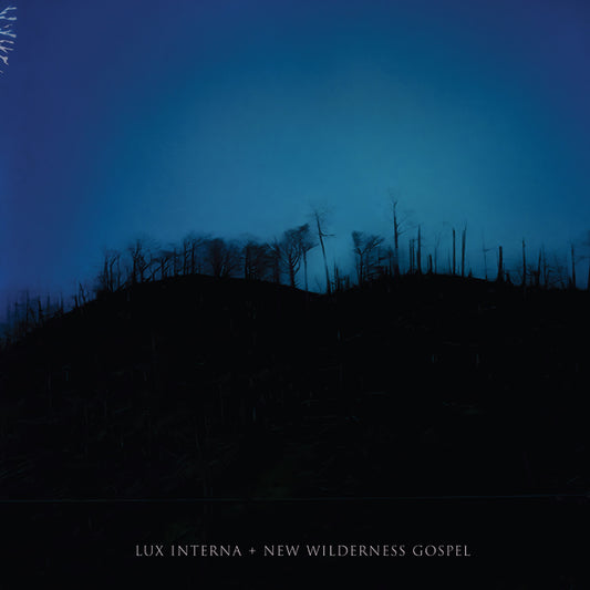 Lux Interna - New Wilderness Gospel (2Cd) (Hardcover Book 28X28Cm, 72 Pages) - Rock - DCD