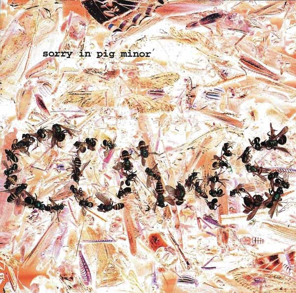 Cows - Sorry In Pig Minor - Rock/Pop - CD