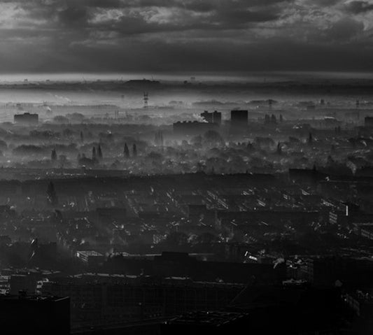 Wesenwille - I + Live At Roadburn (Digipack) - Black Metal - DCD