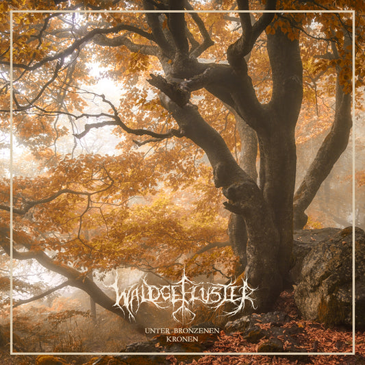 Waldgefluster - Unter Bronzenen Kronen - Black Metal - LP
