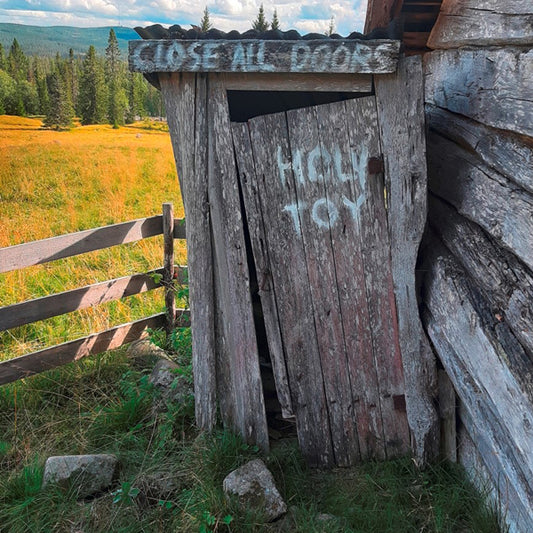 Holy Toy - Close All Doors - Rock/Pop - CD