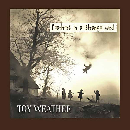 Toy Weather - Feathers In A Strange Wind - Rock - CD