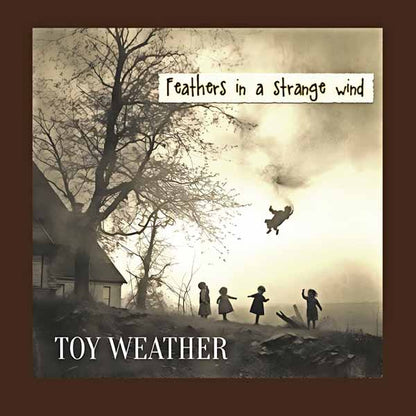 Toy Weather - Feathers In A Strange Wind - Rock - Music Vinyl LP