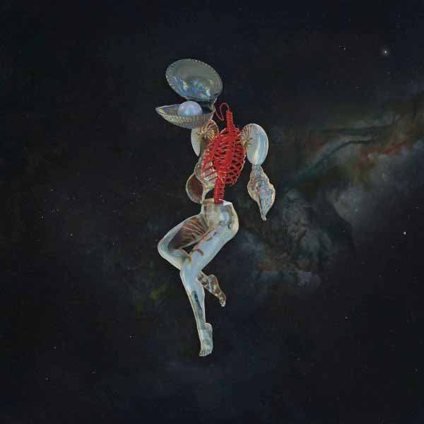 Hail Spirit Noir - Fossil Garden - Black Metal - CD
