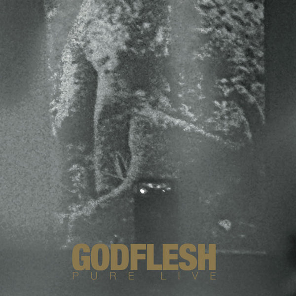 Godflesh - Pure: Live - Metal - CDD