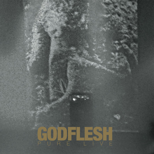 Godflesh - Pure: Live - Metal - CDD