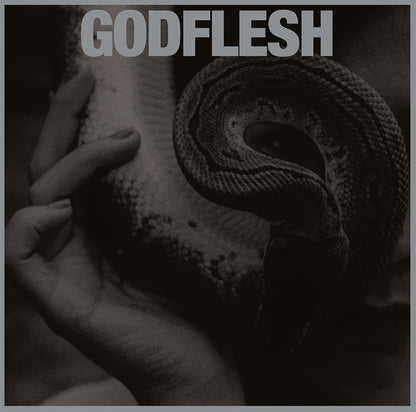 Godflesh - Purge - Metal - CDD