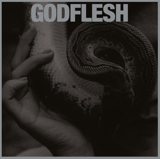 Godflesh - Purge - Metal - LP