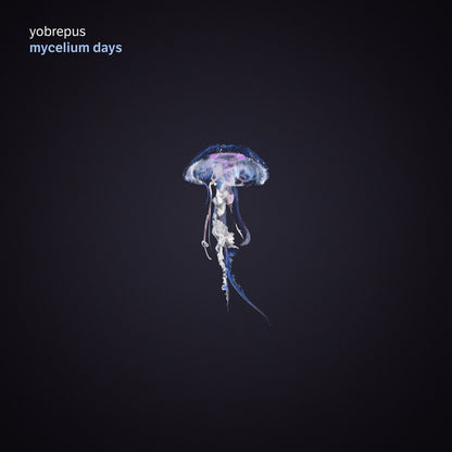 Yobrepus - Mycelium Days - Prog Rock - CD