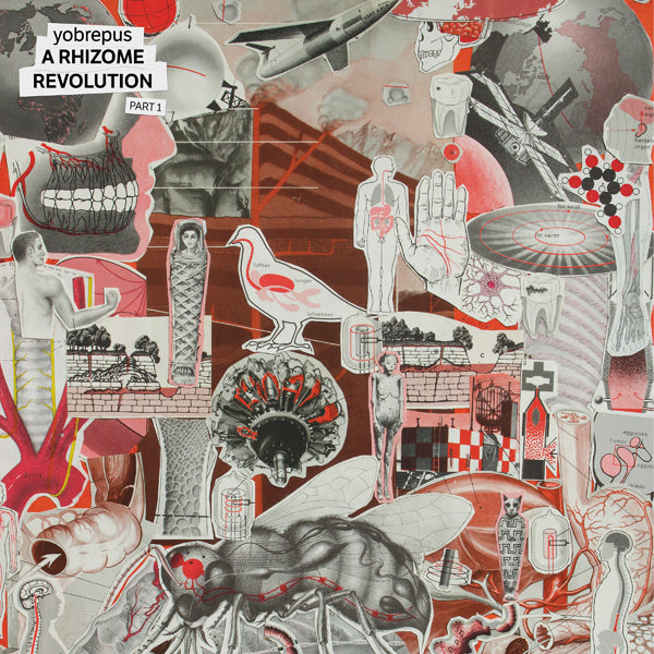 Yobrepus - A Rhizome Revolution Part 1 - Prog Rock - CD