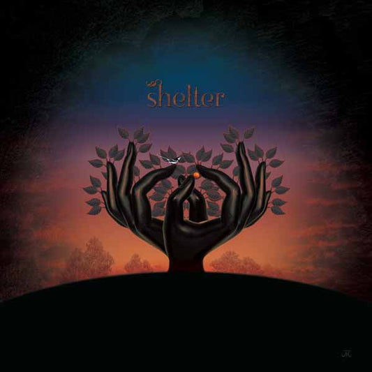 Laughing Stock - Shelter - Prog Rock - CD