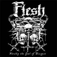 Flesh - Worship The Soul Of Disgust - Death Metal - CD