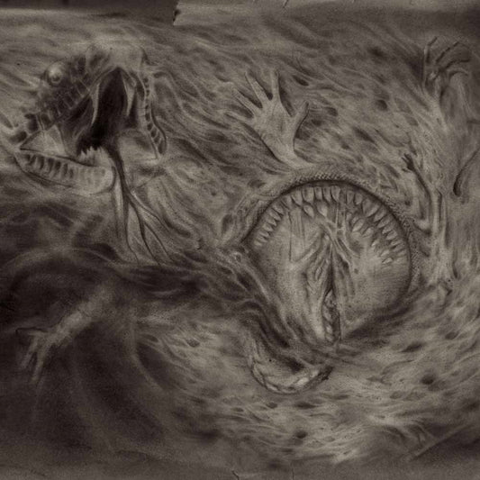Nidsang - Into The Womb Of Dissolving Flames - Black Metal - LP