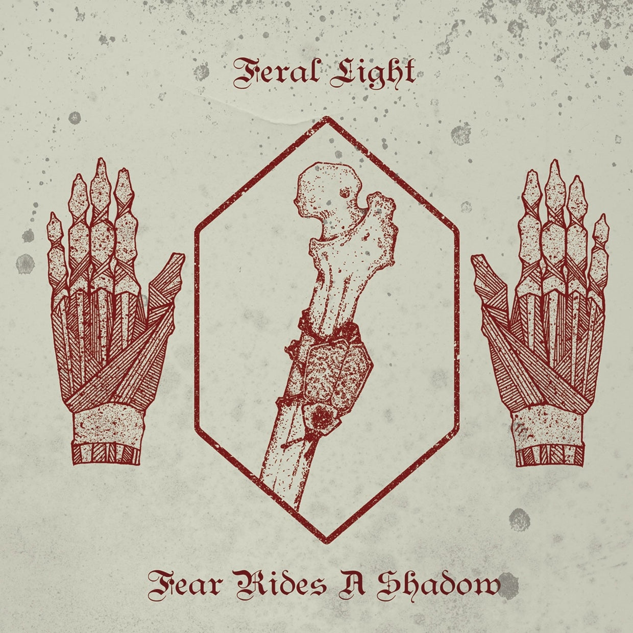 Feral Light - Fear Rides A Shadow - Black Metal - LP