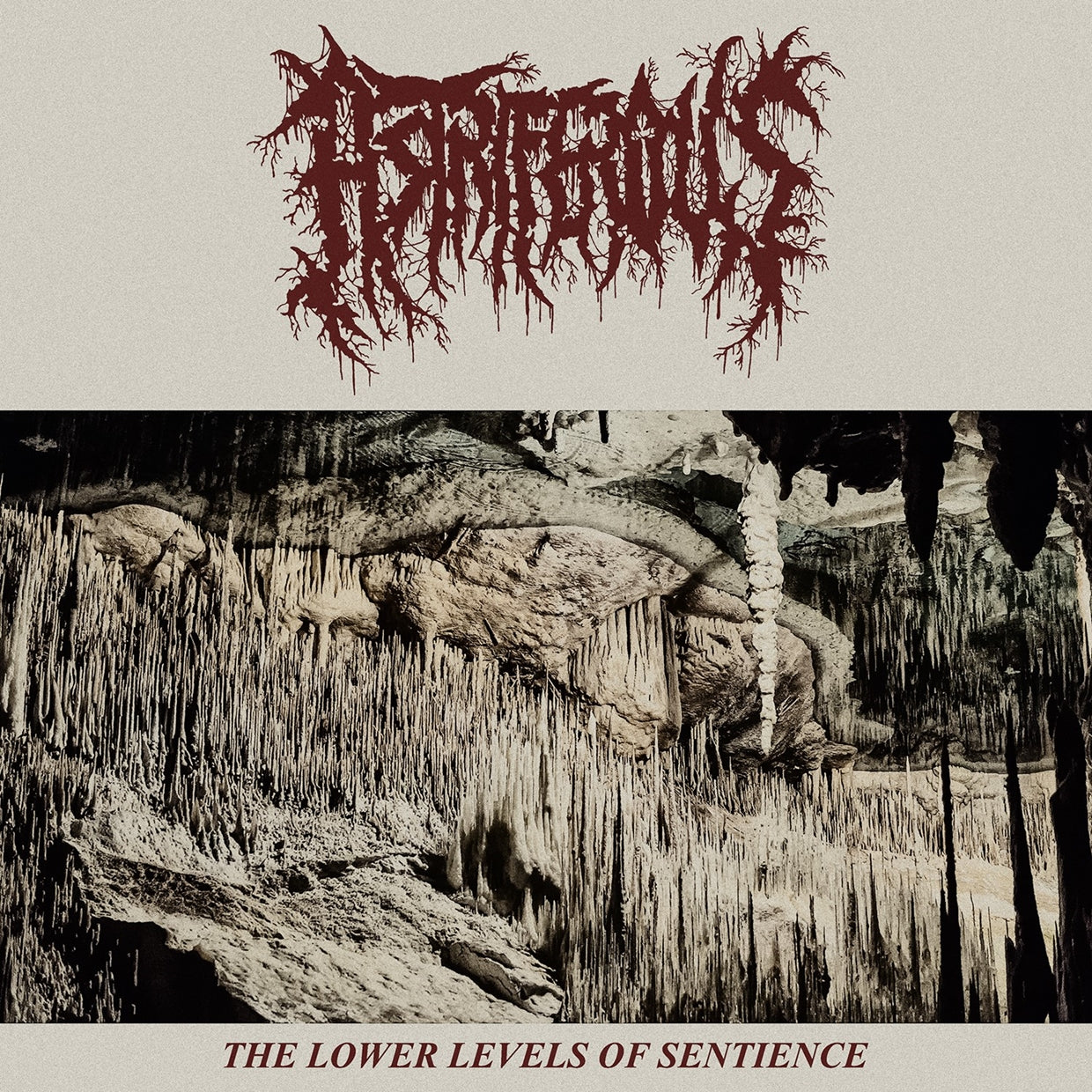 Astriferous - The Lower Levels Of Sentience - Death Metal - MCD