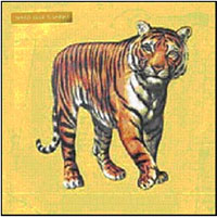 Speed Glue & Shinki - Speed Glue & Shinki - Rock - CD