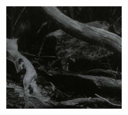 Barren Canyon - World Of Wounds - Black Metal - LP