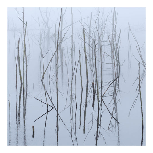 Olhava - Frozen Bloom - Black Metal - CDD