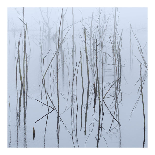 Olhava - Frozen Bloom (2Lp) - Black Metal - DLP