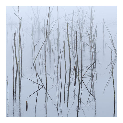Olhava - Frozen Bloom (2Lp) - Black Metal - DLP