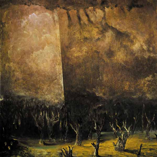Tenebrae In Perpetuum - Vacuum Coeli (Coloured Vinyl) - Black Metal - LP
