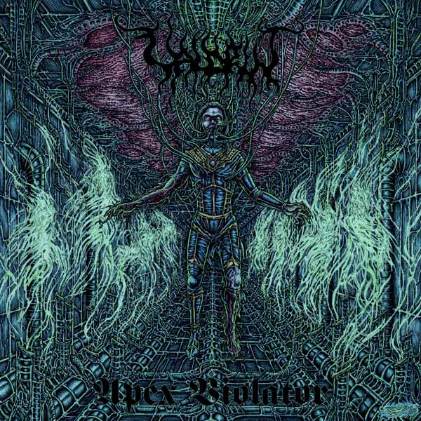 Valdrin - Apex Violator (Coloured Vinyl) - Black Metal - LP