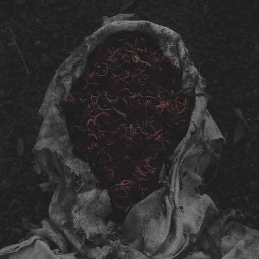 Gorrch - Stillamentum - Black Metal - CDD
