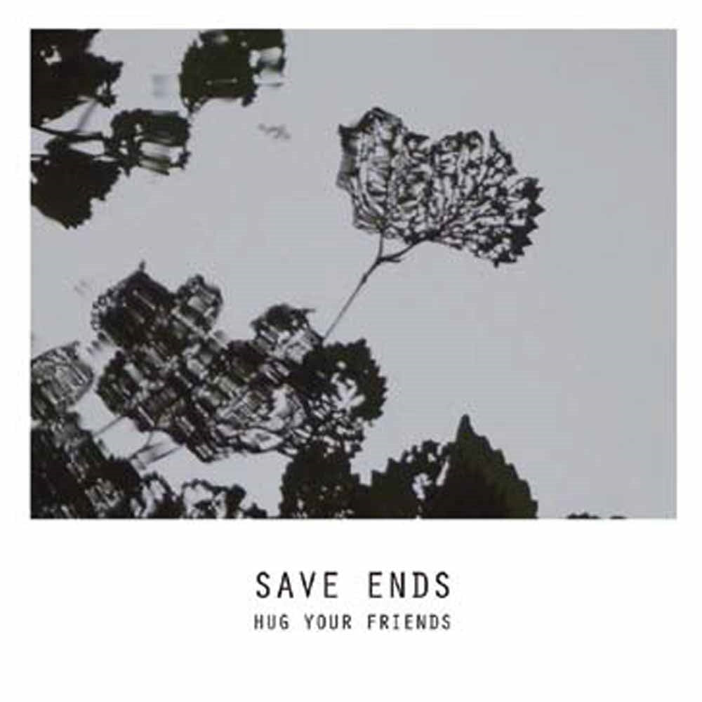 Save Ends - Hug Your Friends - Punk - CDEP