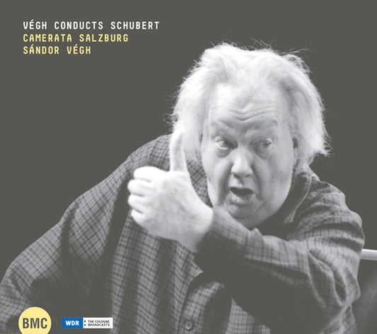 Sandor Vegh & Camerata Salzburg - Vegh Conducts Schubert (2Cd) - Classical - DCD