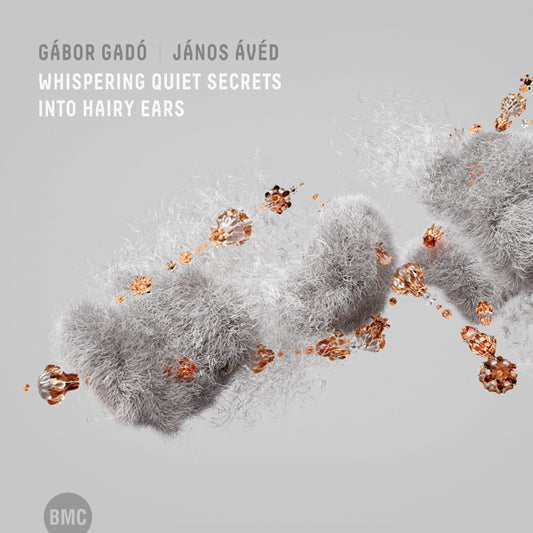 Gábor Gadó & János Ávéd - Whispering Quiet Secrets Into Hairy Ears - Jazz - CD