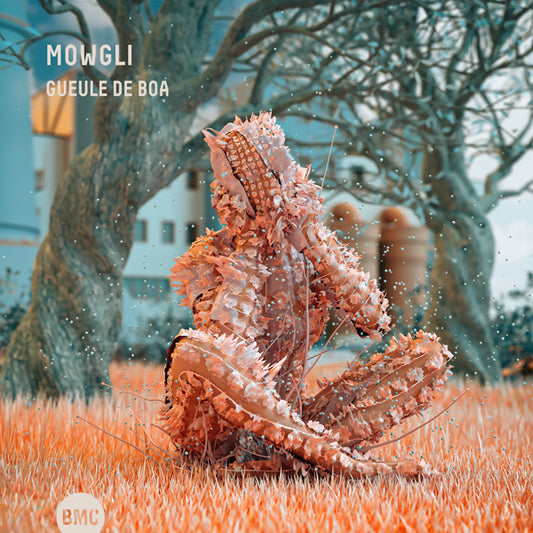 Mowgli - Gueule De Boa - Jazz - CD