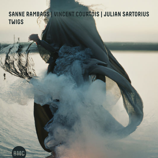 Sanne Rambags & Vincent Courtois & Julian Sartorius - Twigs - Jazz - CD