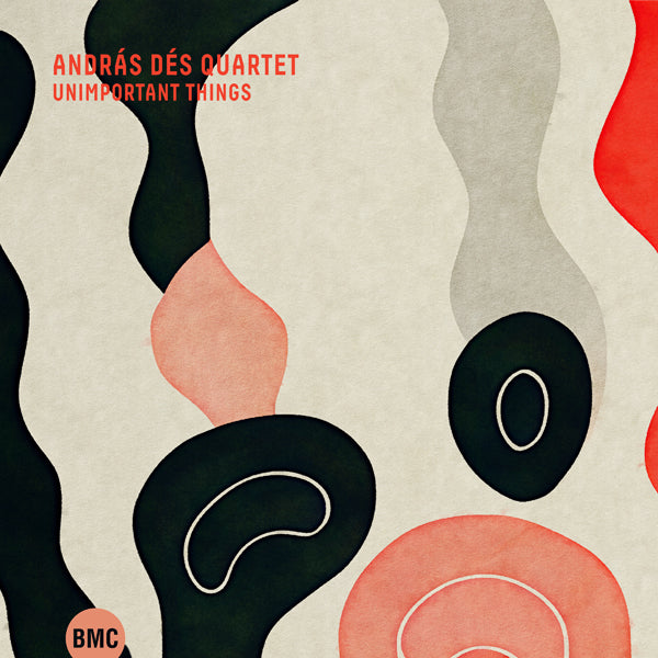 András Dés Quartet - Unimportant Things - Jazz - CD