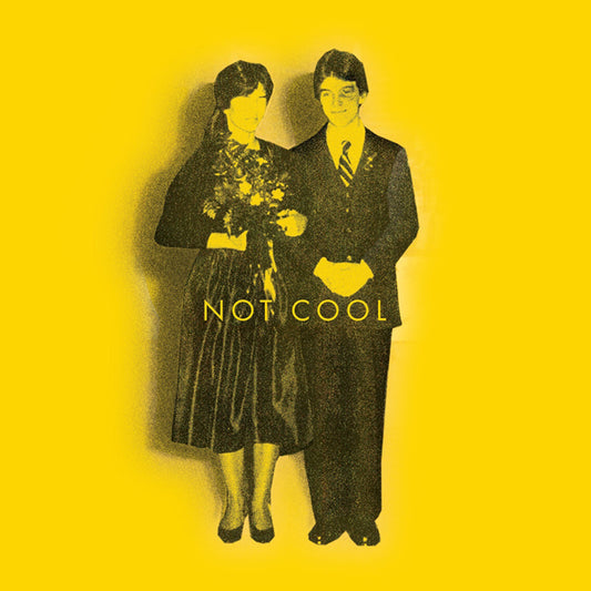 Tim Easton - Not Cool - Country/Folk - LP