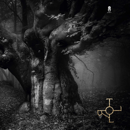 Drott - Troll - Prog Rock - CDD