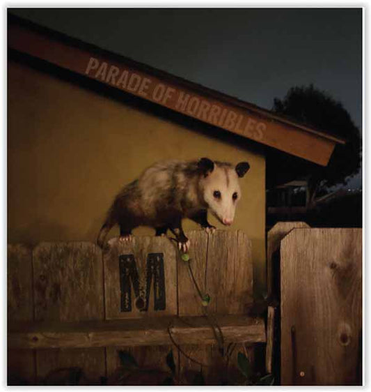Parade Of Horribles - Nma - Punk - LP