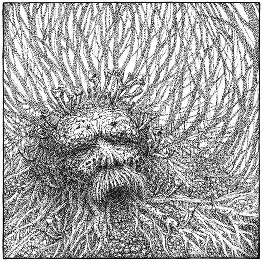 Nemorous - Nemorous (White/Black Vinyl) - Black Metal - LP