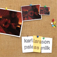 Karl Larsson - Pale As Milk - Indie - CD