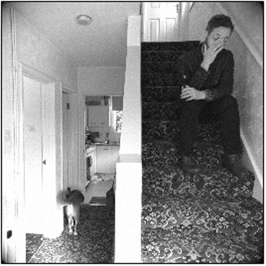 D L Burdon - Accidental Aesop - Rock/Pop - LP
