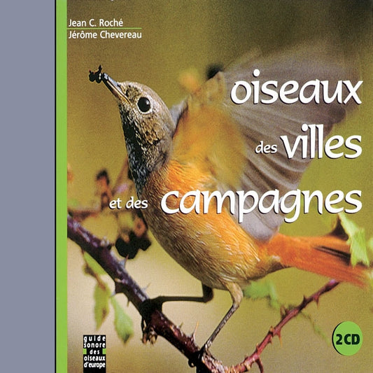 Sons De La Nature - Oiseaux Des Villes Et Des Campagnes - Rock/Pop - DCD