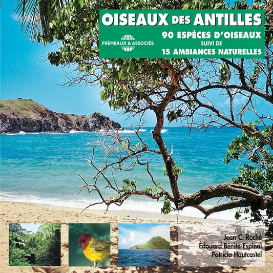 Oiseaux Des Antilles - Guide 90 Expeces Communes Indexees Suivi De 15 Ambiancse Naturelles - Rock/Pop - DCD