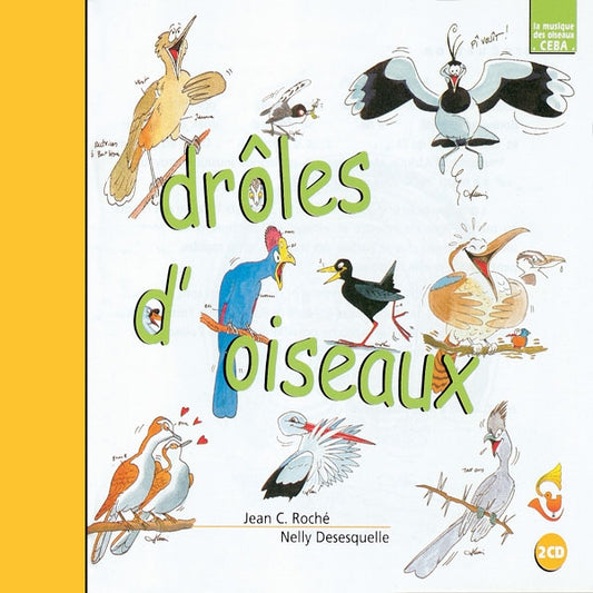 Sons De La Nature - Drôles D'Oiseaux - Rock/Pop - DCD